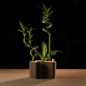 Vase für Glücksbambus mit gerillter Struktur und Wasserstand-Anzeige, PrintHero