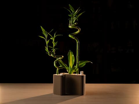 Vase für Glücksbambus mit gerillter Struktur und Wasserstand-Anzeige, PrintHero