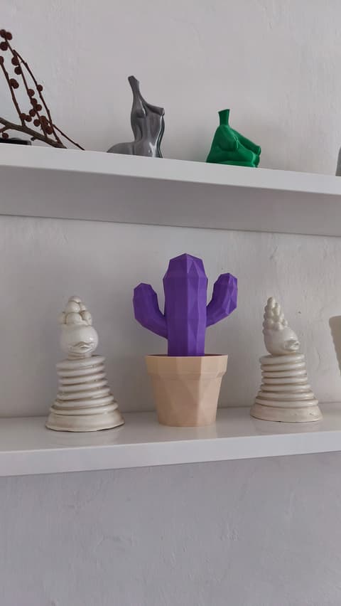 Schreibtisch-Organizer in Kaktus-Form mit Stauraumfach im Topf, PrintHero