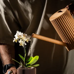 Minimalistische 3D-gedruckte Gießkanne, PrintHero