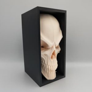 Kompakte Buchnische mit stilisiertem Totenkopf-Relief im rechteckigen Rahmen, PrintHero