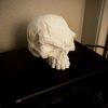 Totenkopf-Deko mit narbiger, kampfgezeichneter Oberflächenstruktur, PrintHero
