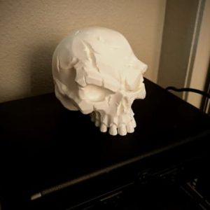 Totenkopf-Deko mit narbiger, kampfgezeichneter Oberflächenstruktur, PrintHero